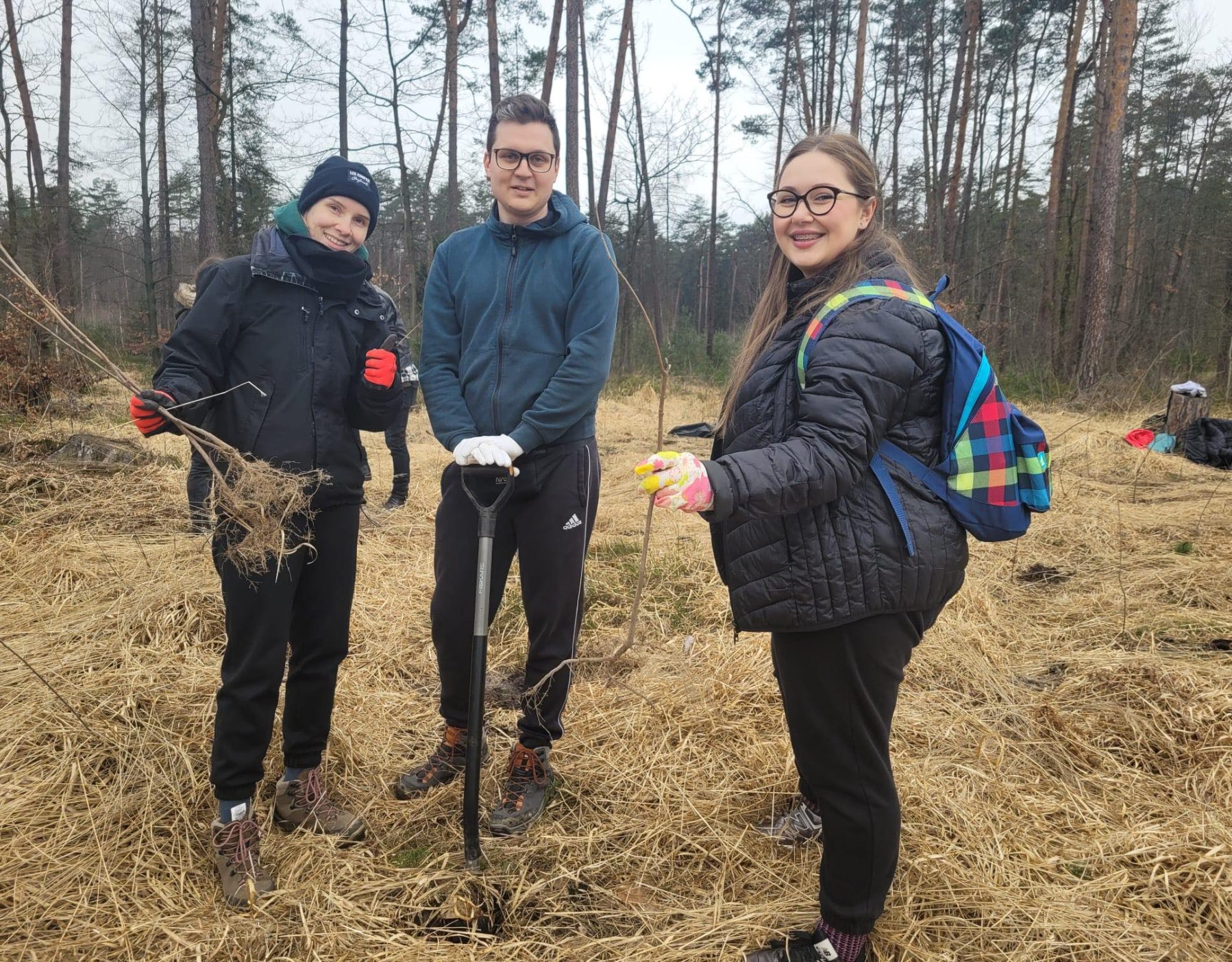 AMS employees doing nature conservation work in woods for a coordinated office outing